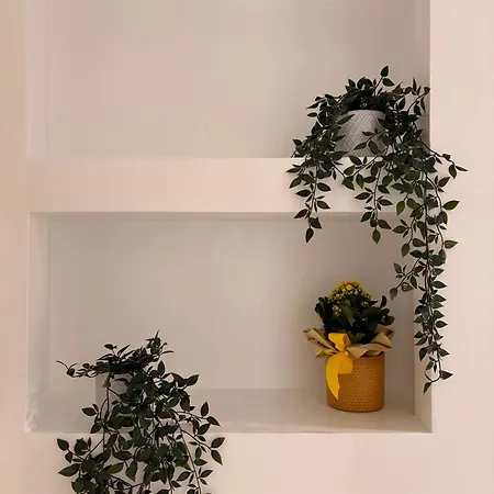 Πανσιόν Orchidea House *