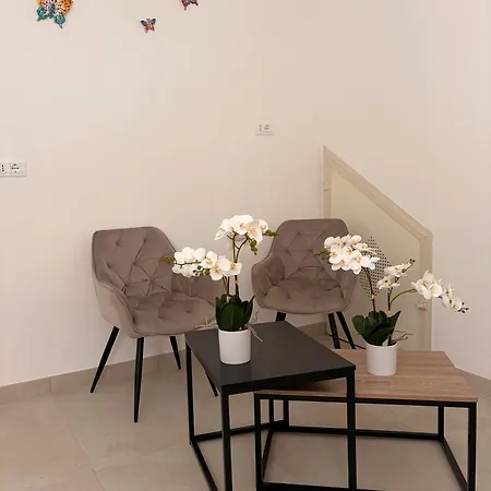 Orchidea House Πανσιόν *